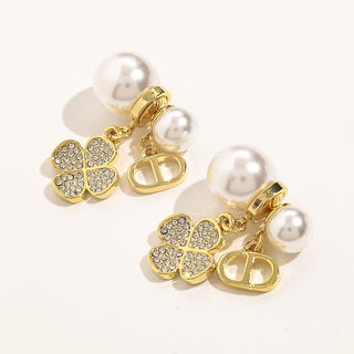 Earrings 536