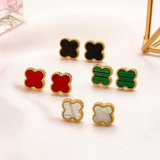 Earrings 673